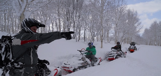 Niseko Backcountry Sleds