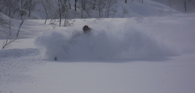 Niseko Powder Capital